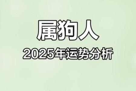 1970年属狗人2025年全年运势预测与得把眼睛擦亮了分析