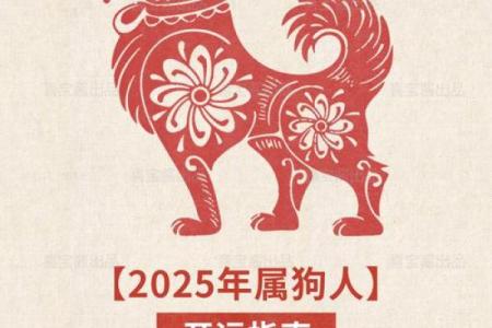 82年属狗人2025年运势详解全年运程完整版