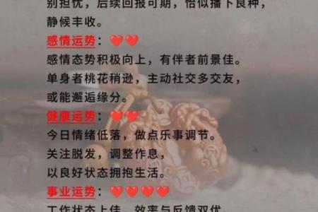 1982年属狗人2025年全年运势详解，财运事业健康如何？