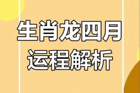 2025年属龙人的全年运势如何财运和事业运详解