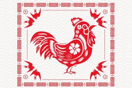 1993年属鸡女性2025年运势详解全年每月运程完整版