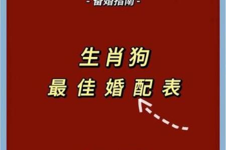 2006年属狗的人婚姻配对需要注意哪些生肖