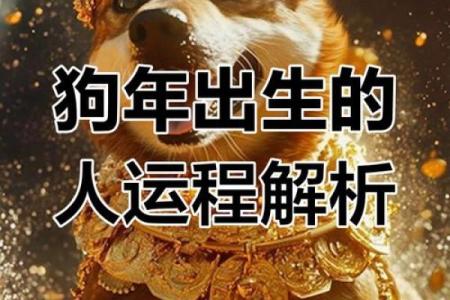 2006年出生属狗者2025年学业运势详解，需要注意哪些方面