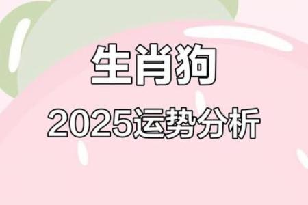 2025年属狗人每月财运事业运势详解及得把眼睛擦亮了