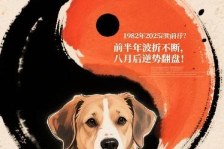 1982年属狗人2025年全年运势详解及每月运程完整版