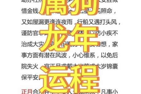 1982年属狗男2025年每月运势及运程完整版详解