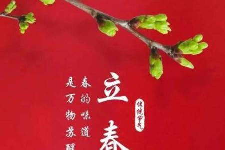 2019年立春的准确时间是什么时候？需要具体到分钟