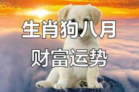 属狗女一生的财运和事业运势如何，有什么提升建议？