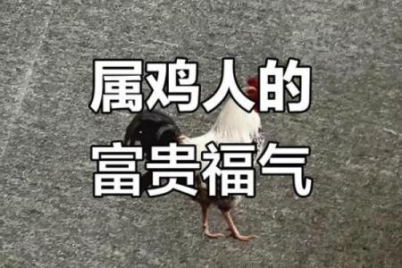 1993年属鸡人一生运势详解，事业财运和婚姻命运如何