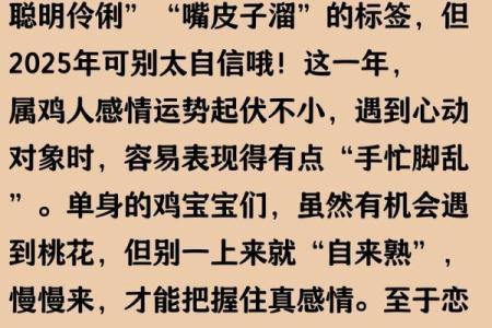 1981年出生的鸡2025年事业财运健康感情全面运势分析