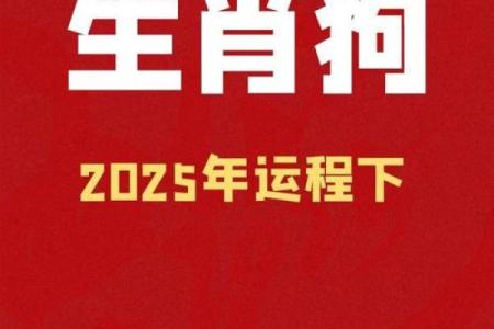 属狗的人2025年整体运势如何？财运和事业有突破吗？