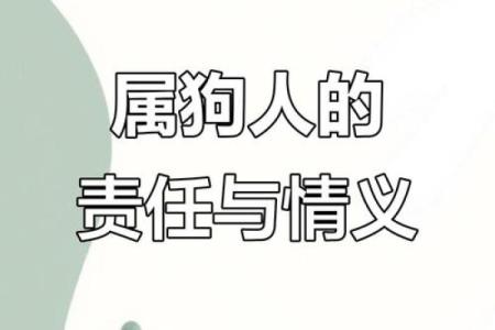 2025年属狗的人需要警惕哪三种人际交往类型
