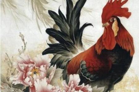 根据生肖五行，属鸡的人招财应该首选哪几种颜色？