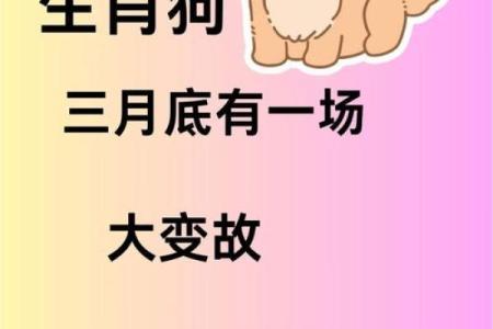 2025年属狗人全年财运、事业和健康得把眼睛擦亮了大全