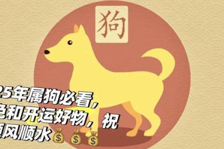 2025年属狗幸运色是什么颜色？如何利用幸运色提升事业运势？