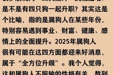 2025年生肖狗事业财运健康感情全方位运势解析
