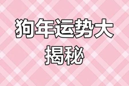 属狗今日财运如何有没有意外之财或者偏门收入