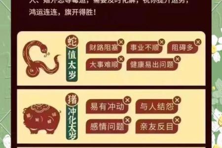 属狗的人在2025年蛇年事业财运和感情健康运势如何破解太岁影响