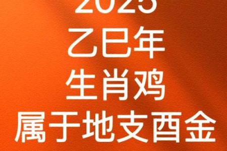 2005年出生属鸡者2025年学业财运健康感情运势全解析