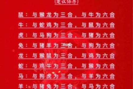 属狗男和属龙女的婚姻配对是否真的合适长久？