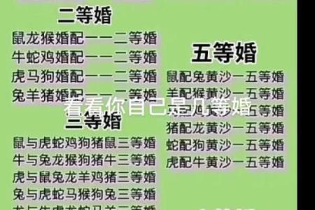 属鸡和属鼠的夫妻组合在婚姻中需要注意哪些问题