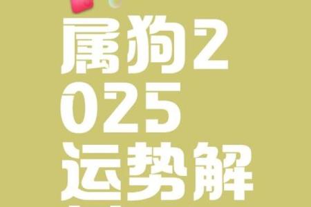 2025年属狗人全年运势详解，事业财运健康感情各方面运势预测
