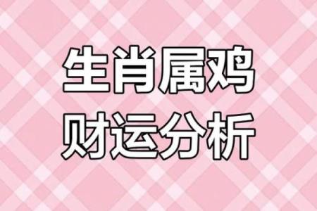 1981年属鸡者2025年事业财运如何提升与布局方法