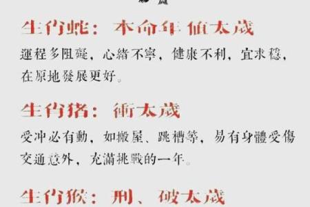 2025年属狗的人运势如何，财运和事业会有突破吗