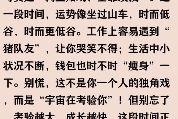 1982年出生属狗女性2025年每月财运事业运感情运分析