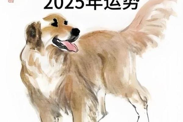 1982年出生属狗的人现在多大了,今年财运和健康运势如何 1982年出生属狗的人现在多大了,今年财运和健康运势如何