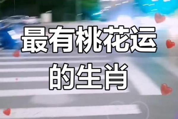 2025年蛇年属狗人的感情运势详解,婚姻和桃花运会有转机吗 2025年蛇年属狗人的感情运势详解,婚姻和桃花运会有转机吗