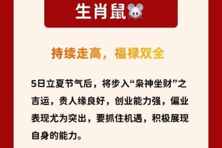 1981年属鸡男2025年每月运势详解及财运健康解析