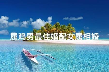 1993年属鸡的婚配最佳选择，和哪个属相最合得来？