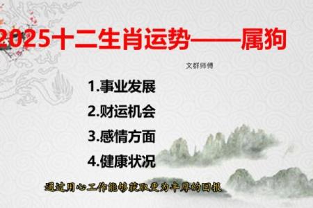 2025年1982年出生的属狗人士财运如何？正财偏财投资运势全分析