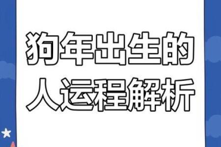 2025年属狗人全年运势详解，财运事业健康感情全面解析