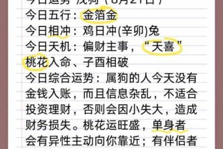 2025年属狗的人全年运势详解，财运健康事业爱情全面解析