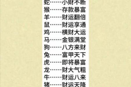 属狗的人在2025年蛇年整体运势如何，财运和健康需要注意什么