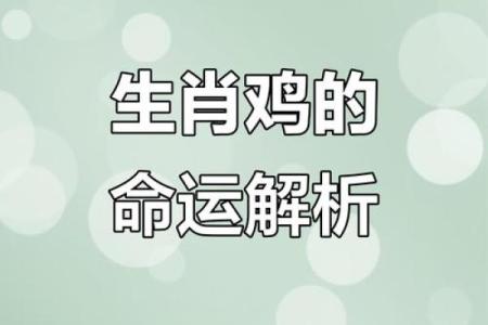 1981年属鸡男2024年每月运势详解及财运健康指南