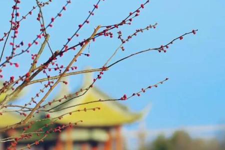 2022年立春具体时间几点几分几秒开始