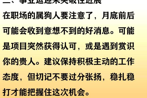 1982年出生属狗者在2025年婚姻感情运势如何？需要注意什么？