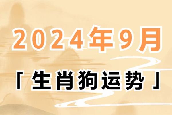 2025年属狗人幸运色查询：如何选择提升运势的颜色