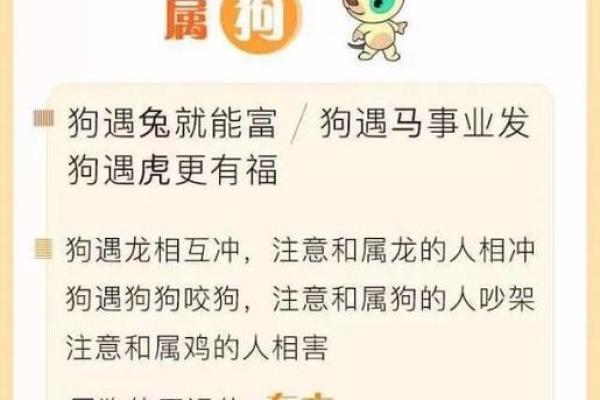 1982年属狗2025年每月运势完整版详解及得把眼睛擦亮了