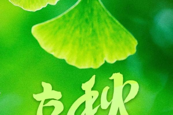 2024年立秋节气精确到分钟的时间查询，小白也能学会
