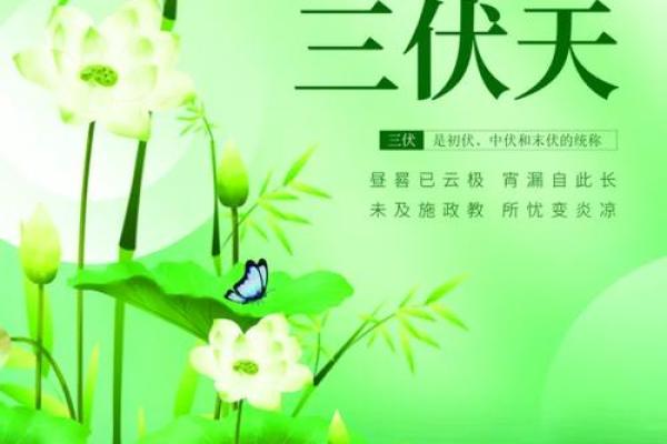 2021年初伏具体从哪一天开始计算？