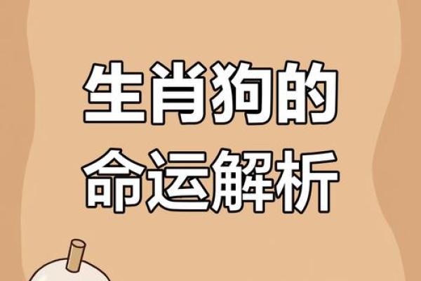 1970年属狗人2023年每月运势详解及得把眼睛擦亮了