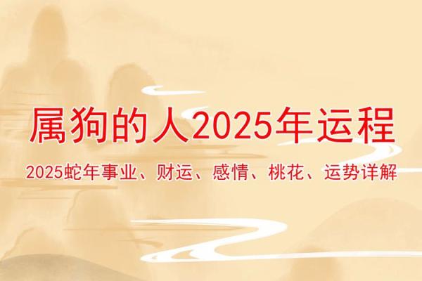 2025年属狗女1970年出生的事业财运健康感情全面运势预测