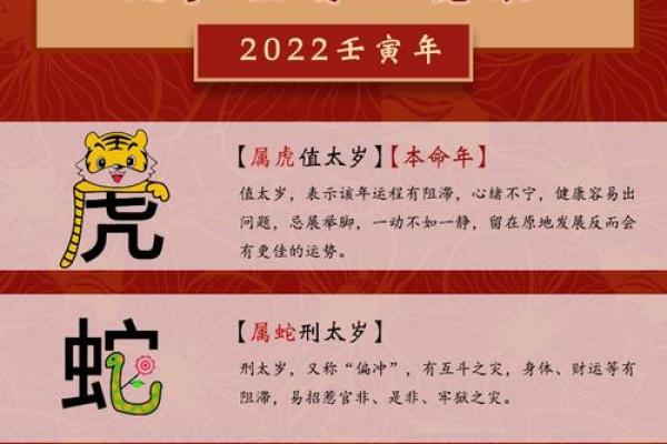 属龙人2025年全年运势详解，事业财运和健康如何避免太岁影响？
