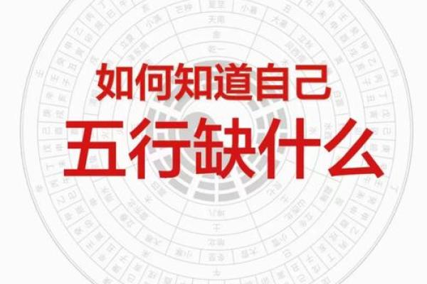 1981年出生的人一生命运如何？五行属什么缺什么？