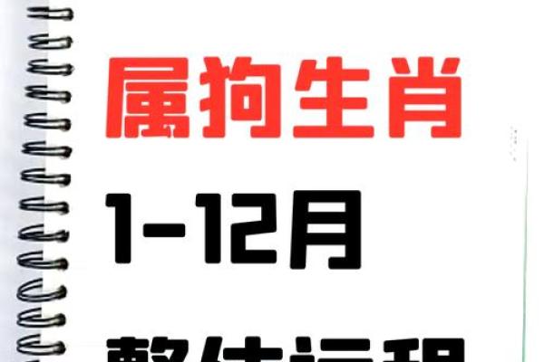 1982年出生属狗女2025年全年财运和感情运程解析