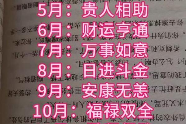 1982年属狗人2025年全年运势详解，财运事业健康感情完整解析